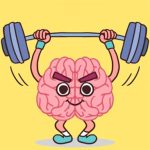 Perfect Brain 3D Puzzle